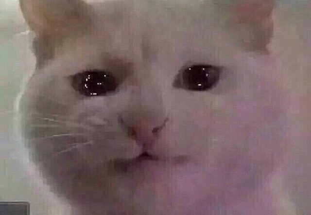 나는야 호시 얼굴 좋아하는 사람ㅜ.ㅜ | 인스티즈