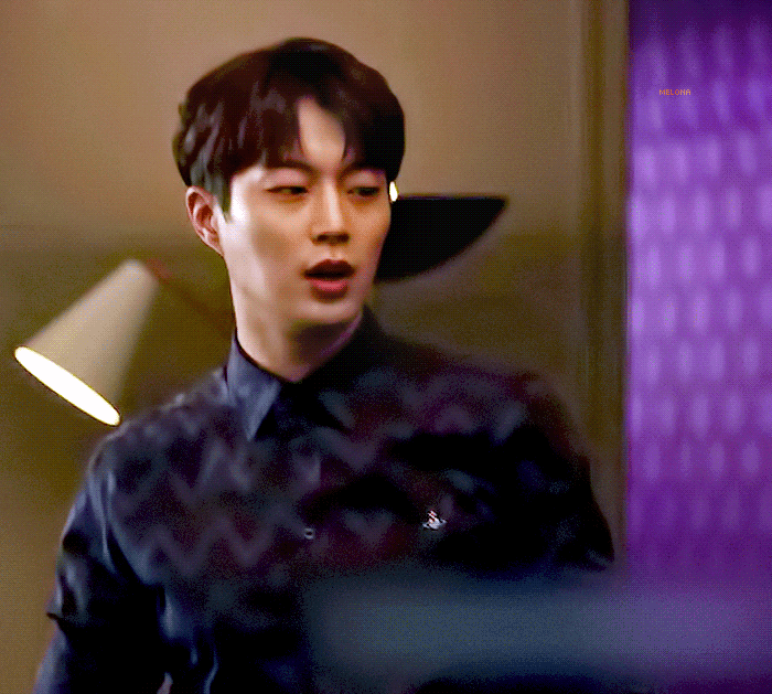 하이라이트 보고시퍼 | 인스티즈