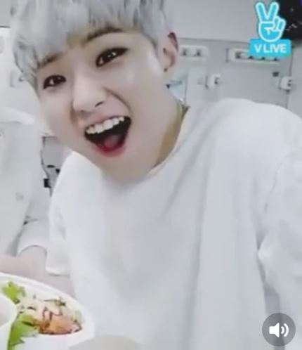 세븐틴 호시 해외투어 갔다가 살 올랐는데 컴백쯤에 이러고 나타남 | 인스티즈