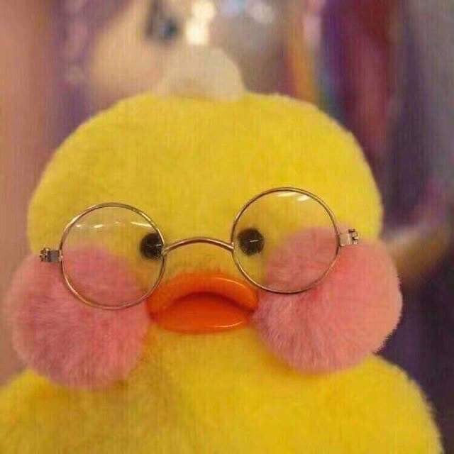 얘 하성운이랑 닮지 않았음? | 인스티즈