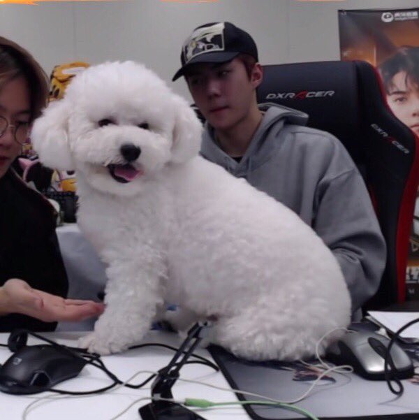 아니 오비비 이렇게 보니까 진짴ㅋㅋㅋㅋㅋㅋㅋㅋㅋㅋㅋㅋㅋ | 인스티즈