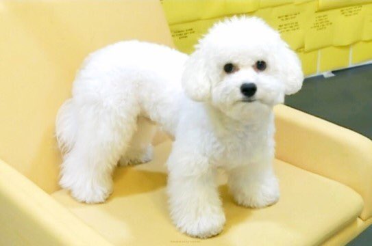 아니 오비비 이렇게 보니까 진짴ㅋㅋㅋㅋㅋㅋㅋㅋㅋㅋㅋㅋㅋ | 인스티즈