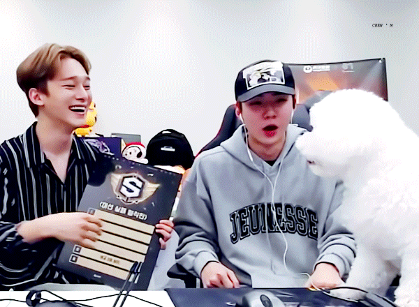 비비야 안녕 오늘은 너네 형아의 같은 그룹 멤버 형의 생일이란다 | 인스티즈