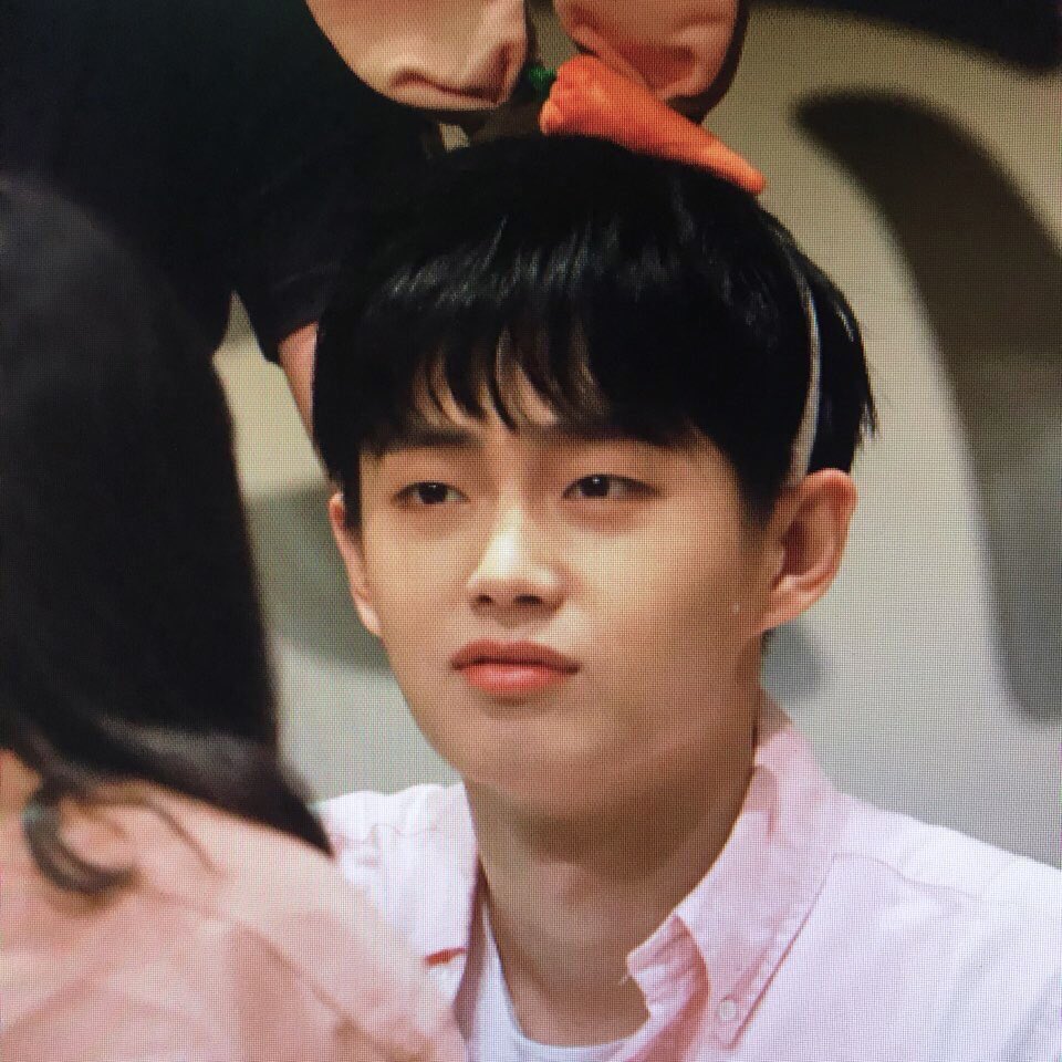 내가 본 고양이 중 가장 하찮음 | 인스티즈