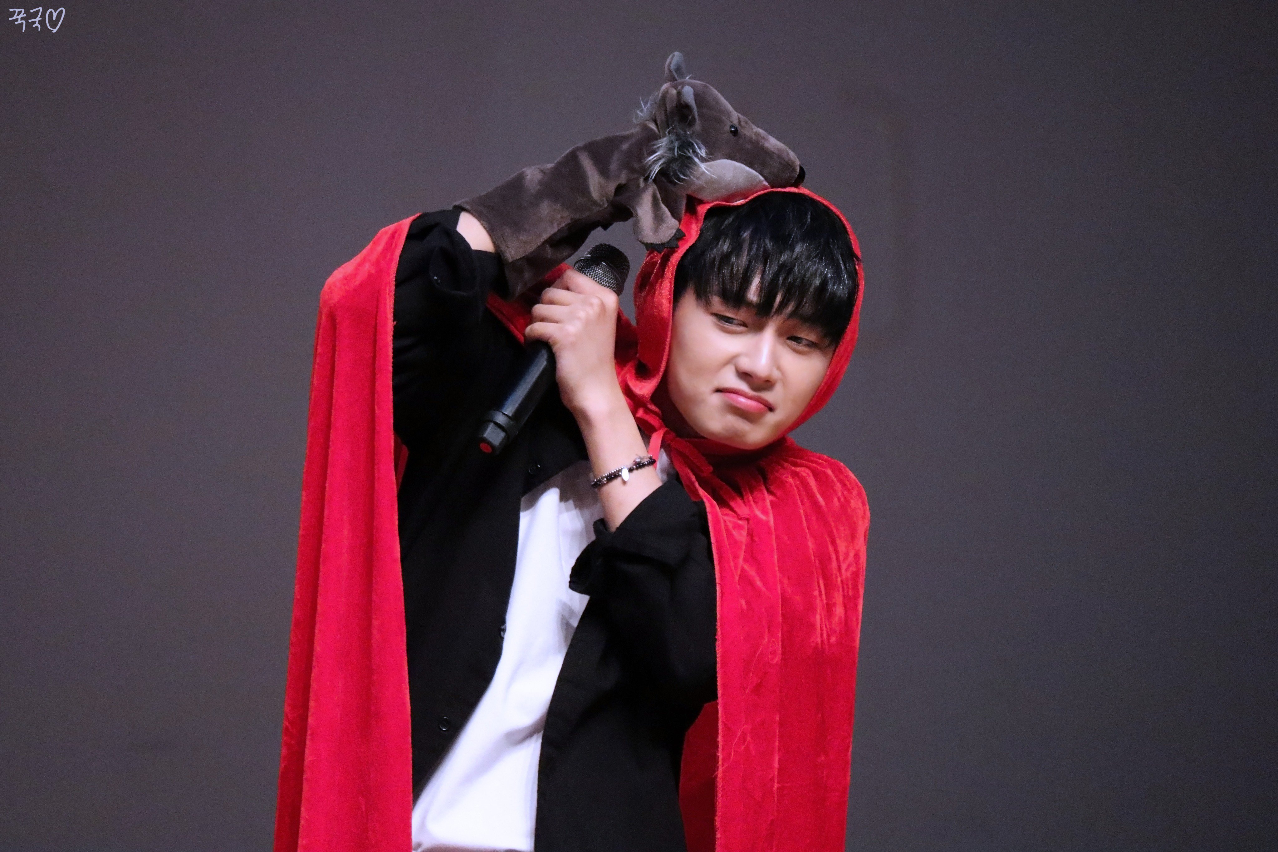 내가 본 고양이 중 가장 하찮음 | 인스티즈