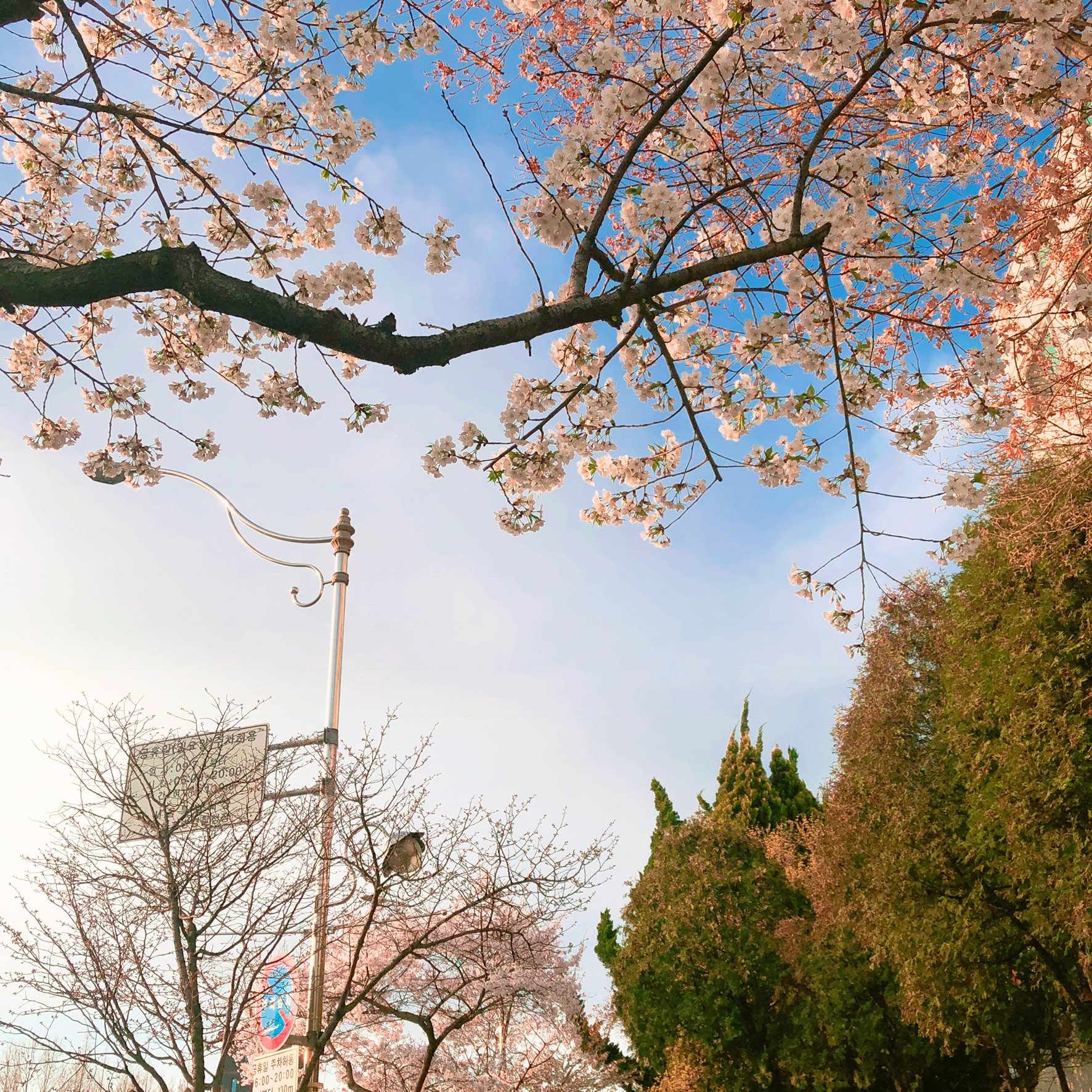 모두들 아이폰 하쎄오ㅠㅠ | 인스티즈