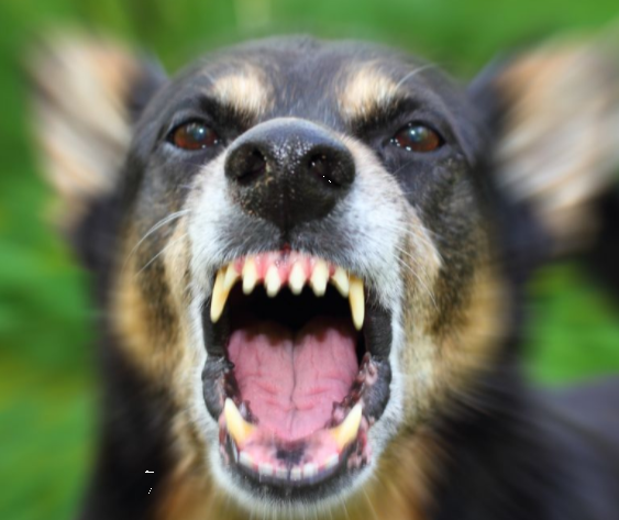 ㄹㅊ 같이 크아함 | 인스티즈