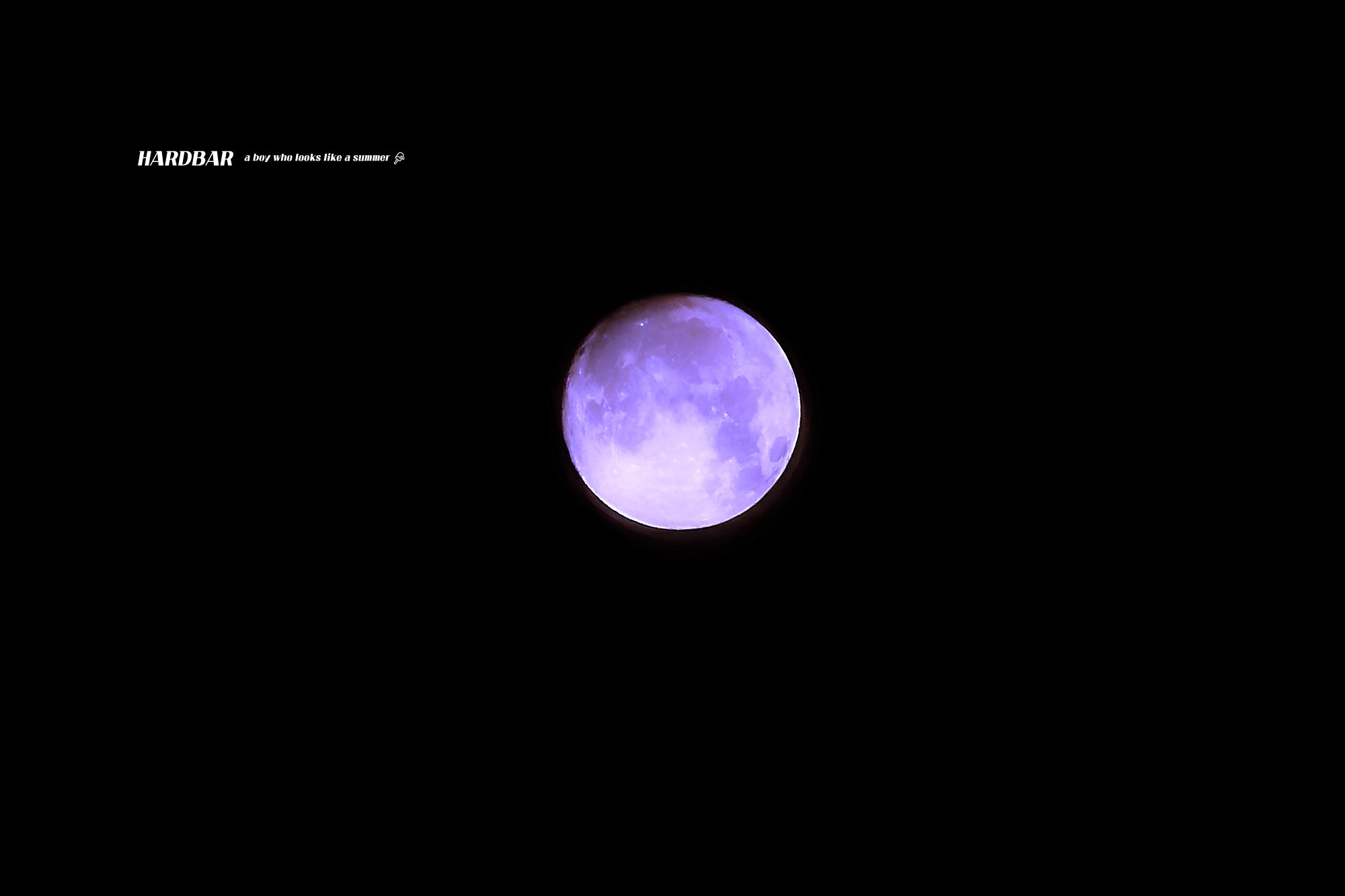 ㄹㅊ 1쓰니랑 연애 2쓰니랑 결혼 | 인스티즈