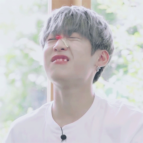 박우진 이정도면 애기 참새 맞는데 | 인스티즈