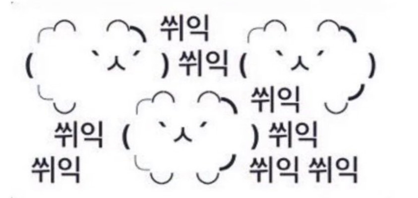 야!!!!!!!! 쓰니 잔다!!!!!!!!! 잘 자라고 해줘라!!!!!!!!!!! | 인스티즈