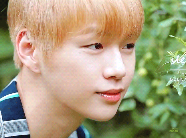 눈밑점이 엄청난 매력 포인트인걸 강다니엘 보고 느꼈어 | 인스티즈