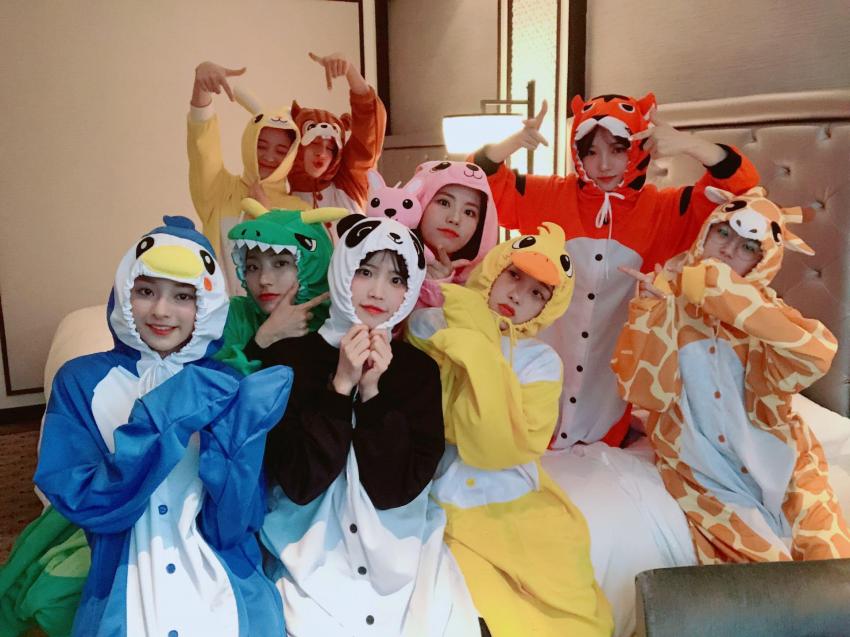 당장 2일동안 프로미스나인에게 일어난 일들 | 인스티즈