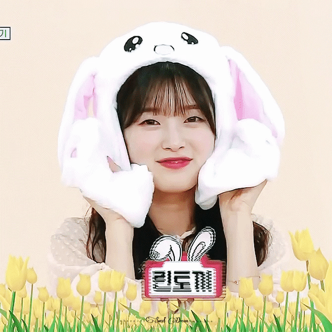 얘가 막내인데 어떻게 오구오구 안하겠어 | 인스티즈