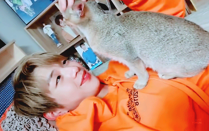 나도 강다니엘한테 그만 설레고싶다규ㅠㅠㅠㅠㅠ | 인스티즈