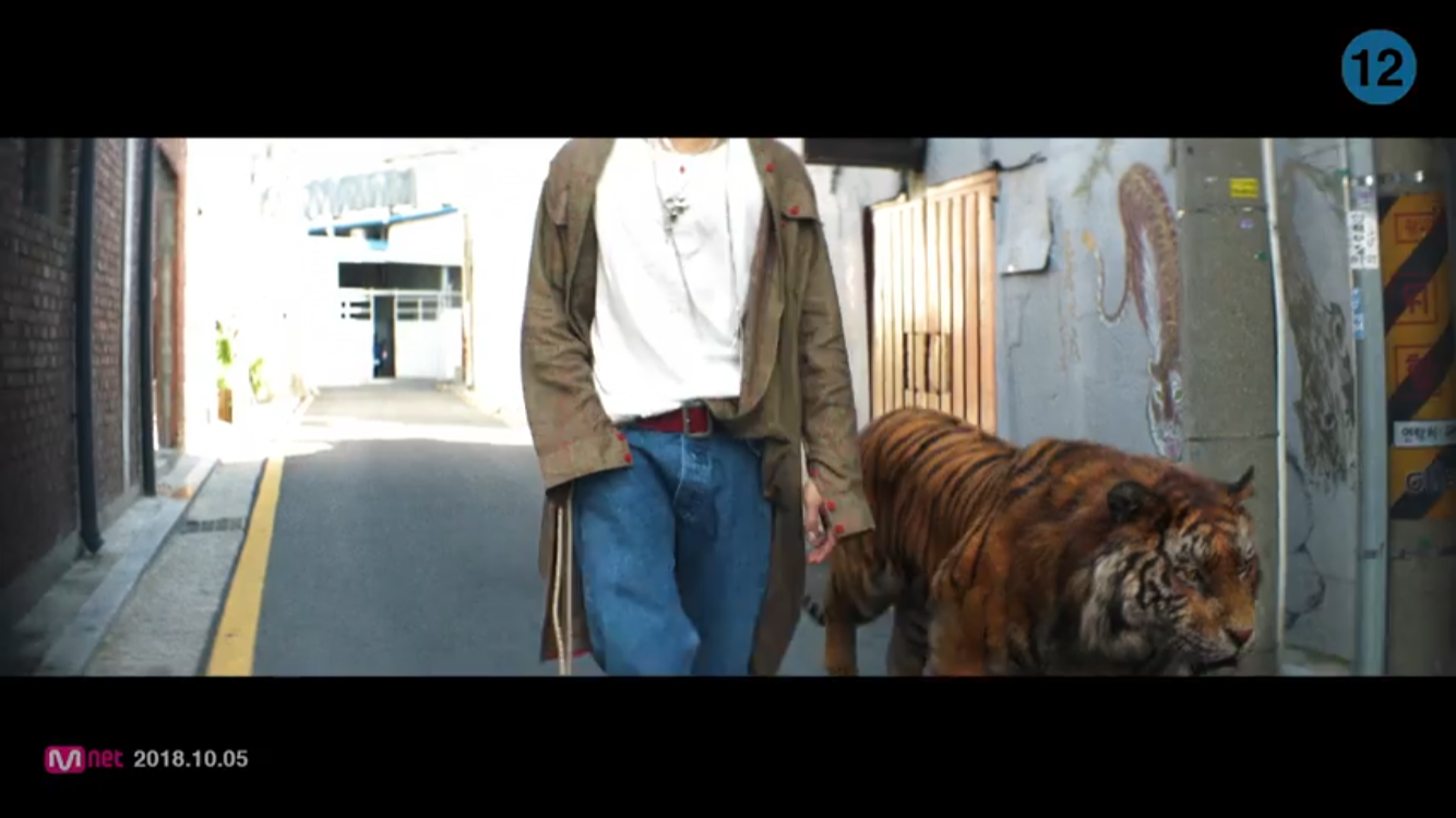 호랑이가 왜 여기서 나와...? | 인스티즈