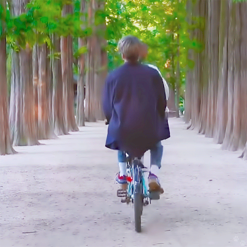 상균아 자전거 악마의 편집이라면서... | 인스티즈