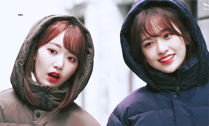 아이즈원 안사요 짤 좀 주라!! | 인스티즈