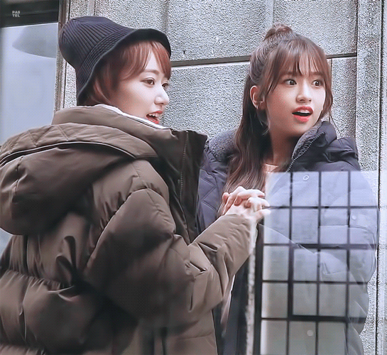 아이즈원 안사요 짤 좀 주라!! | 인스티즈