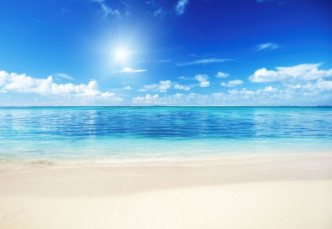 ㄱ 나 판윙녤 클리셰 이 브금 들으면서 보는데 ㄹㅇ 감정몰입 잘 돼 미치겠어..(녤윙위주) | 인스티즈