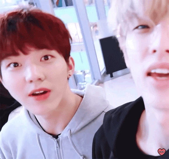 데이식스 사랑해!!!!!!! | 인스티즈