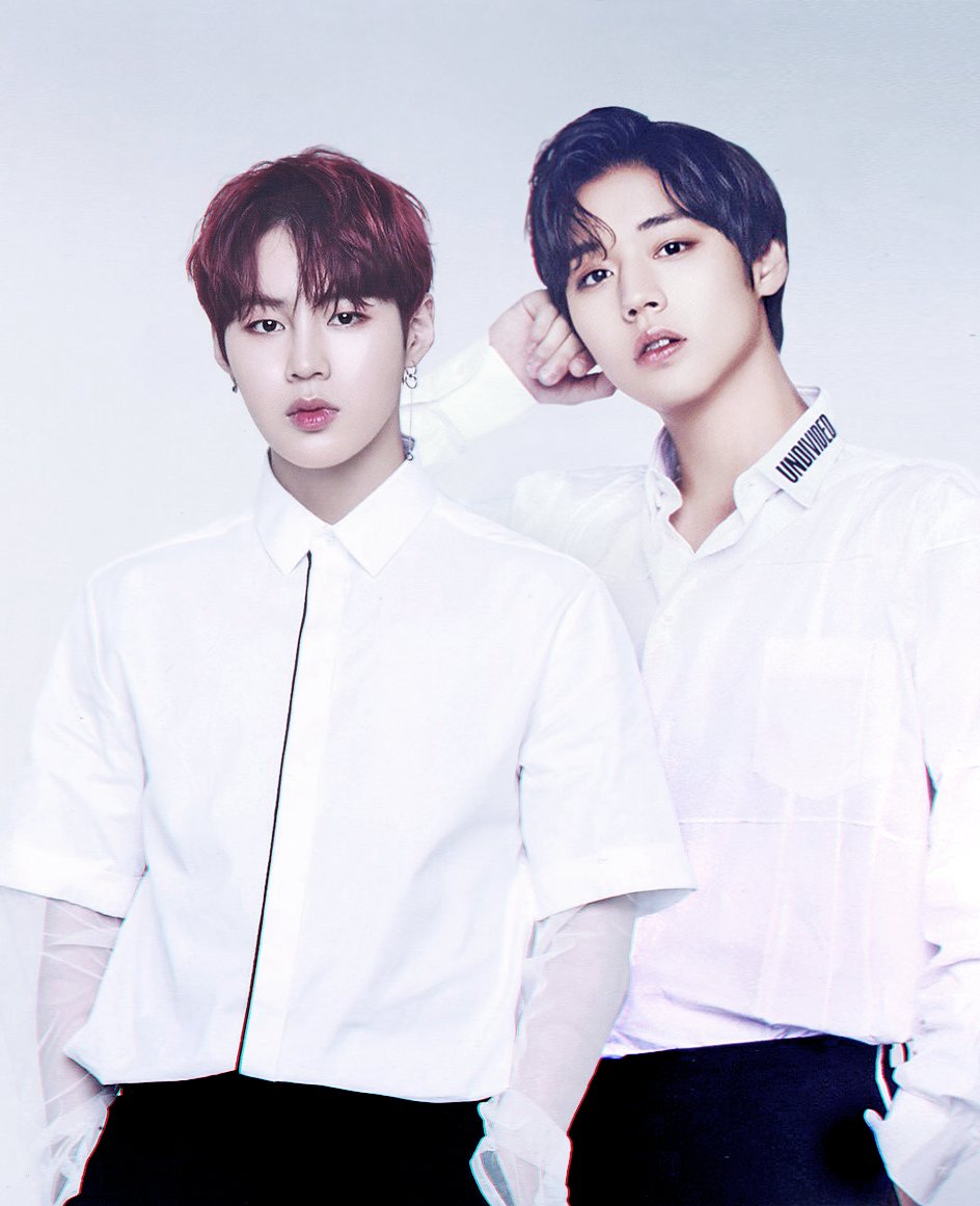 ㄱ 친구가 나 취향 보인다고 하면서 소나무라는디 | 인스티즈