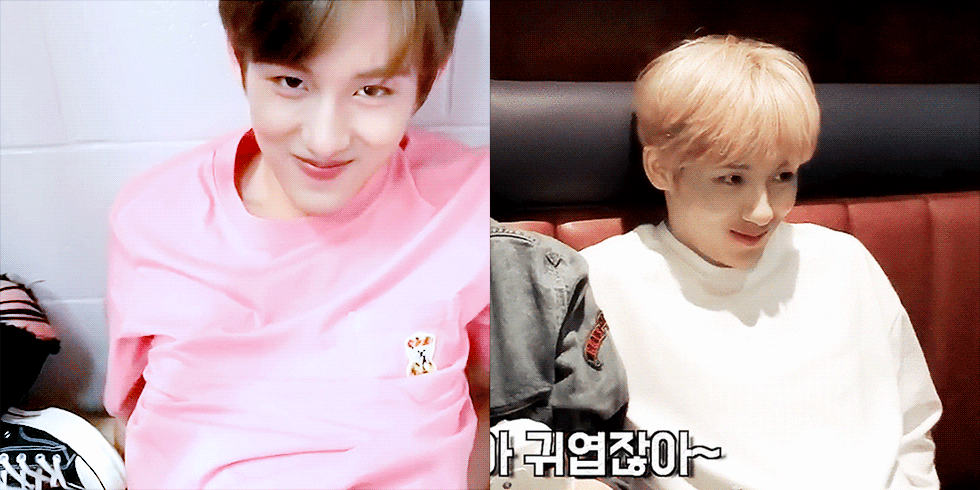 근데 진짜 윈윈이는 사랑할 수밖에 없어... | 인스티즈