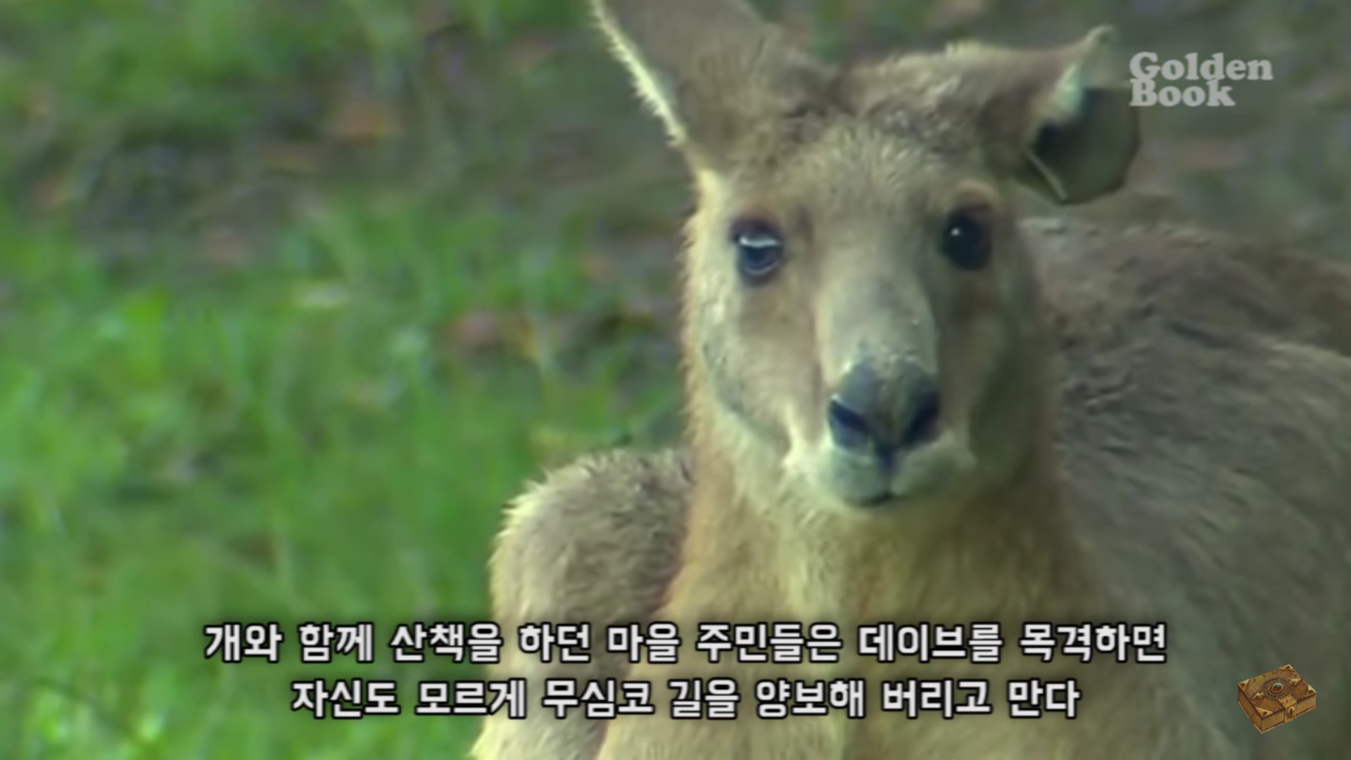 ㄹㅊ 둘이 나 사이에 두고 싸움함 | 인스티즈