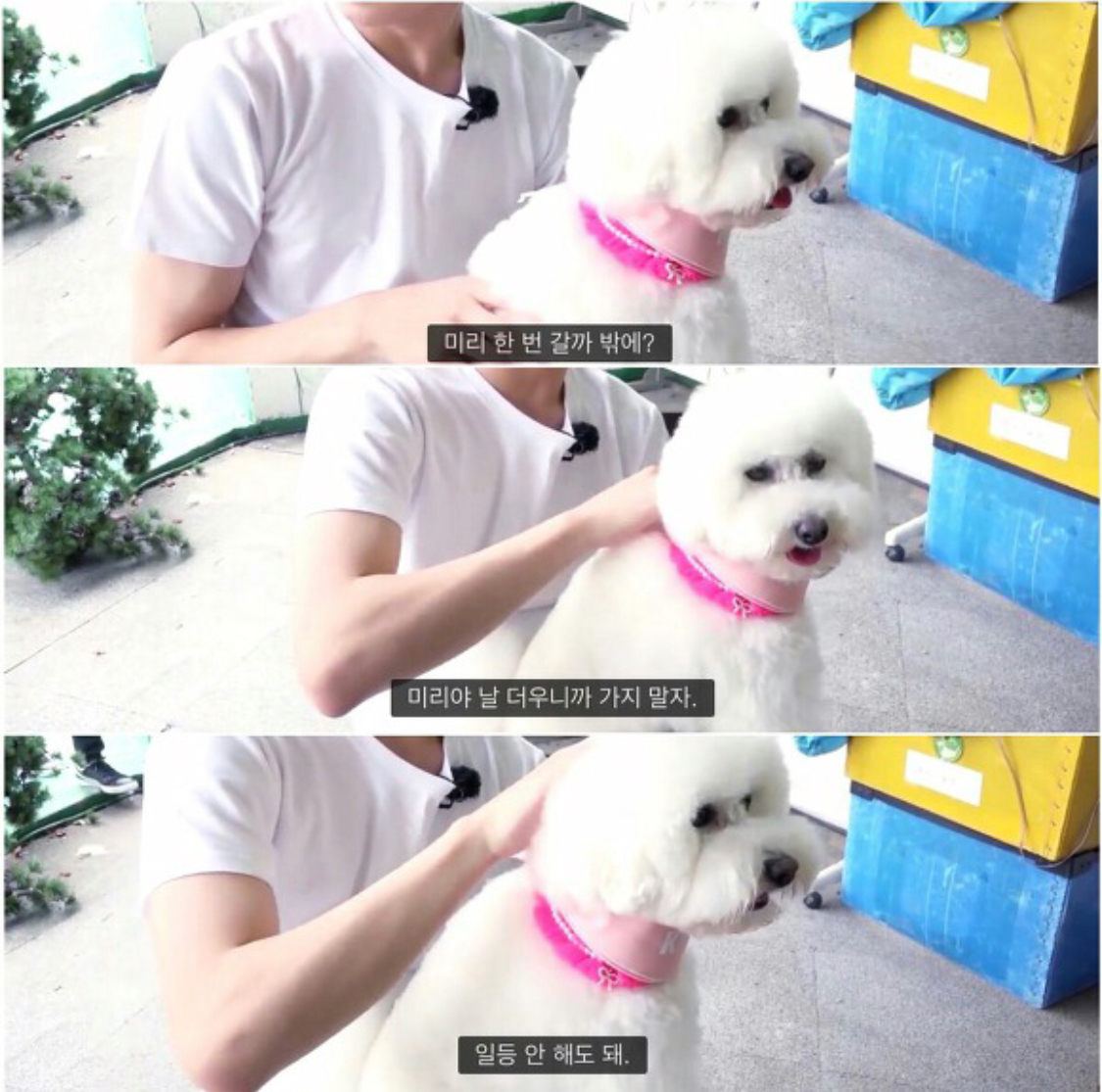 ㄹㅊ 부루마블하는데 연속 무인도 | 인스티즈