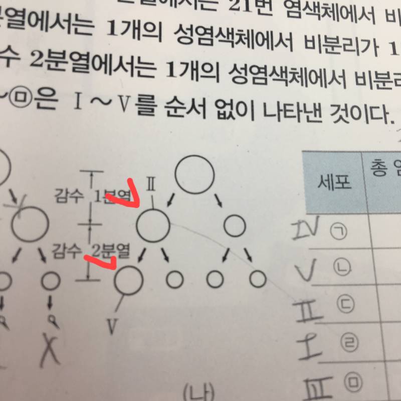 생명과학1 푸는 사람 이거 무슨 의미인지 좀 알려주라 | 인스티즈