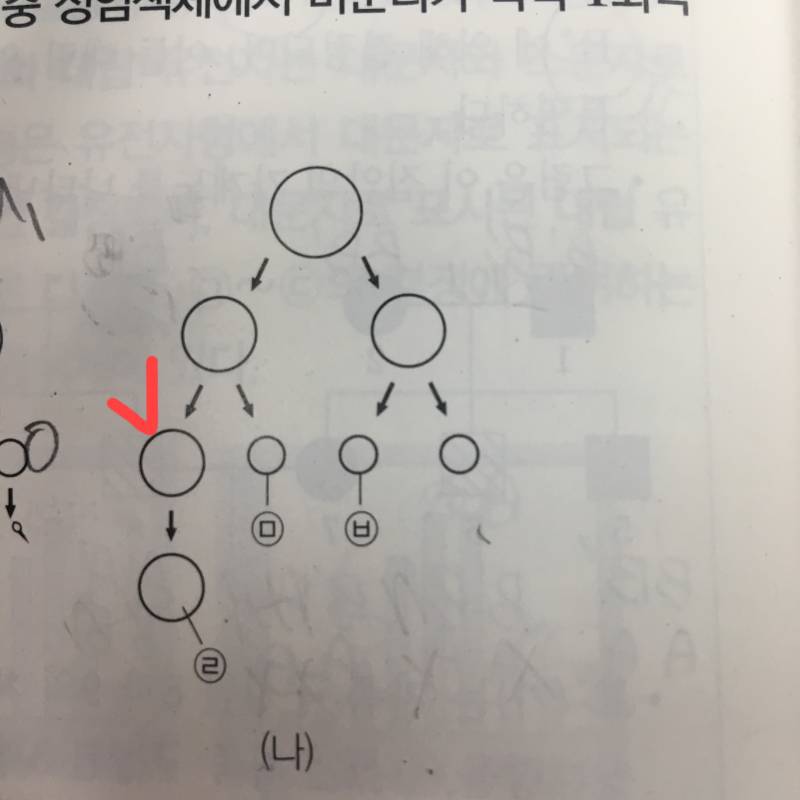 생명과학1 푸는 사람 이거 무슨 의미인지 좀 알려주라 | 인스티즈