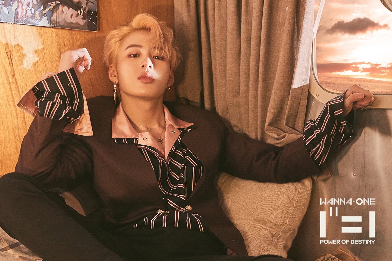 ㄹㅊ 최애나오면 폰 끄고 공부 | 인스티즈