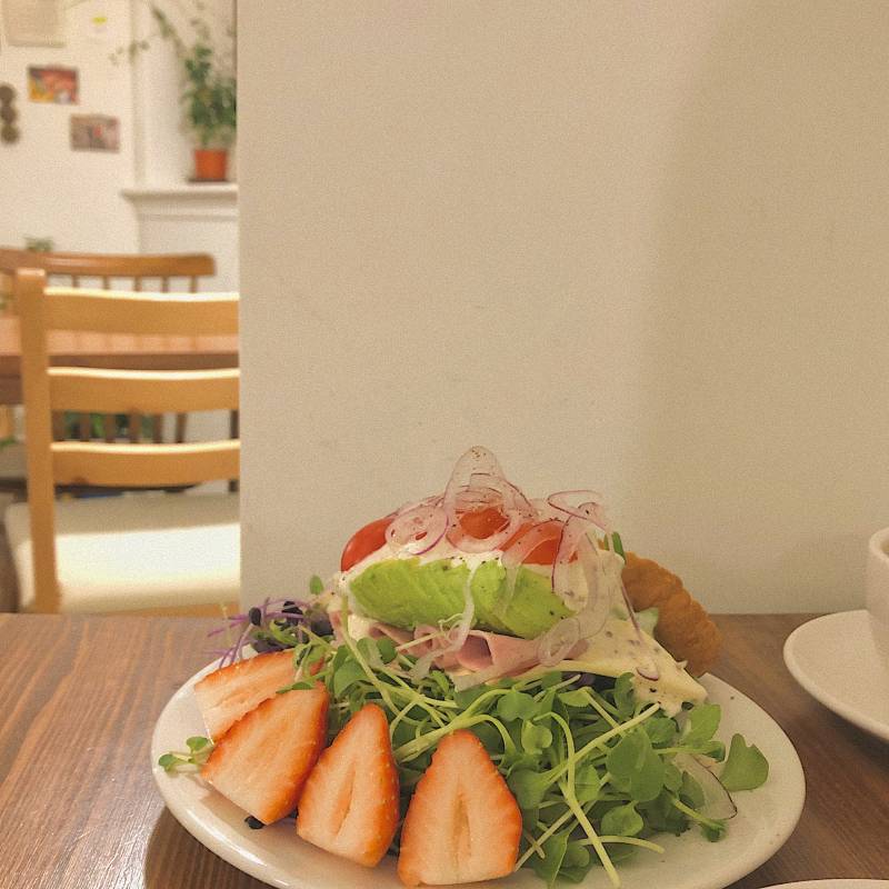 쓰니 밤에 샌드위치 먹었는데 쩰 잘나온 사진 골라쥬라💕 - 인스티즈(instiz) 푸드/음식 카테고리