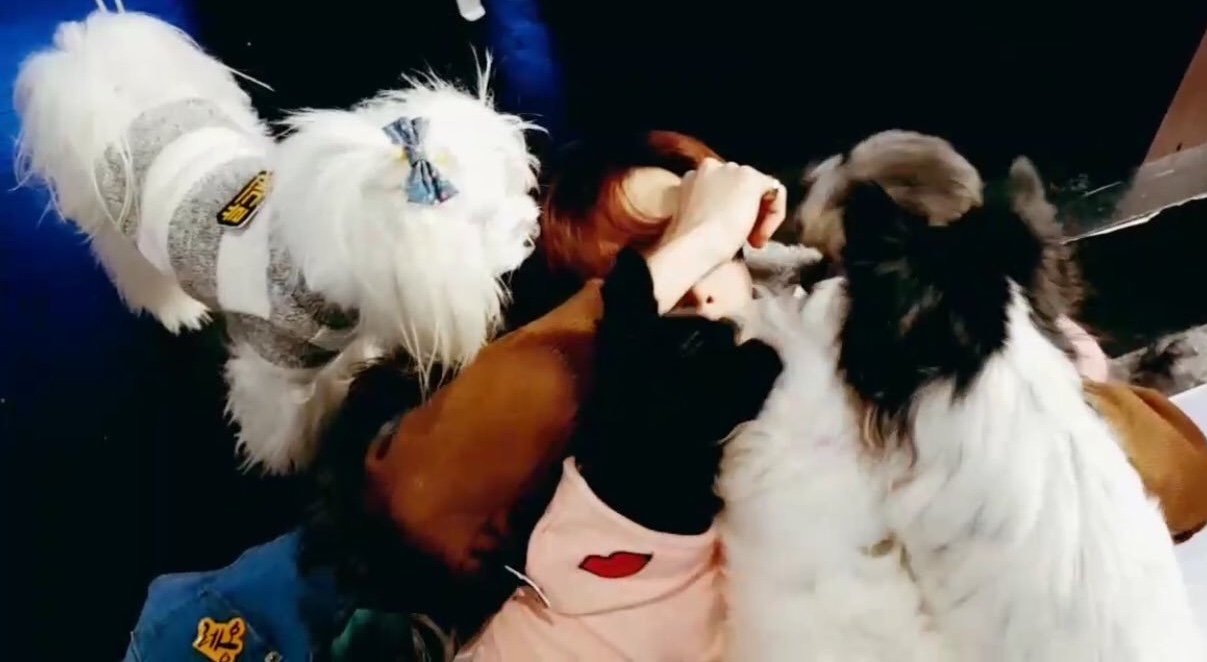 ㄹㅊ 아이돌 그룹 포지션 만들어 보자... | 인스티즈