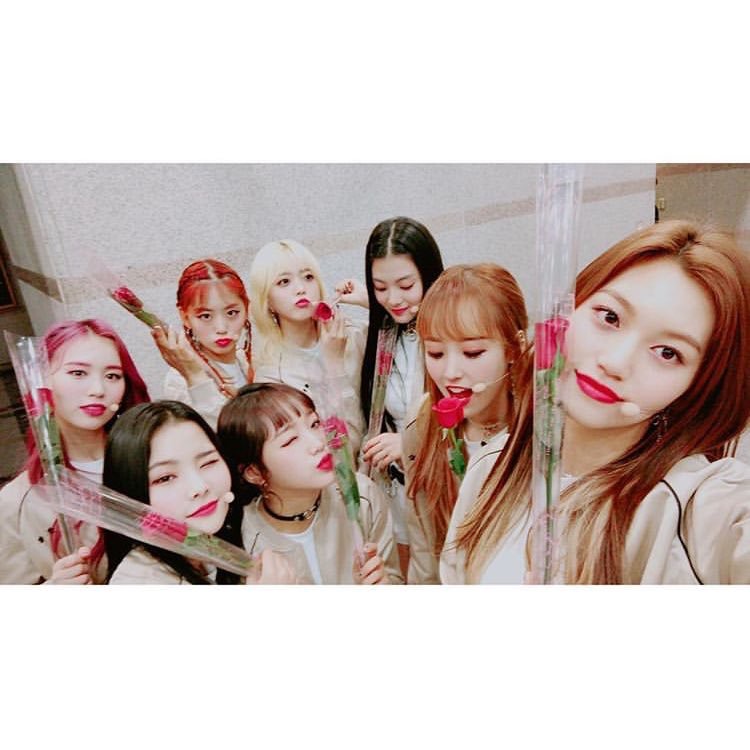 우리 위꾸리미꾸리 오백일 축하해 ❤🧡💛 | 인스티즈