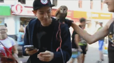 나와!!!!!!!나오라고!!!!!!!,ㄹㅊ | 인스티즈