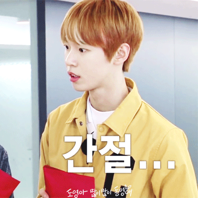 ㄹㅊ1리더 2메댄3메보4메랩5비담 | 인스티즈