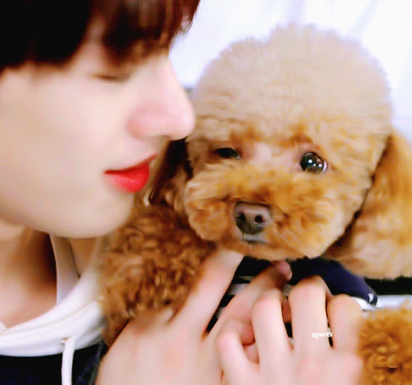 골차 ㄹㅊ 아침에 제일 일찍 일어난 1이랑 밤샌 2랑 인사함 | 인스티즈