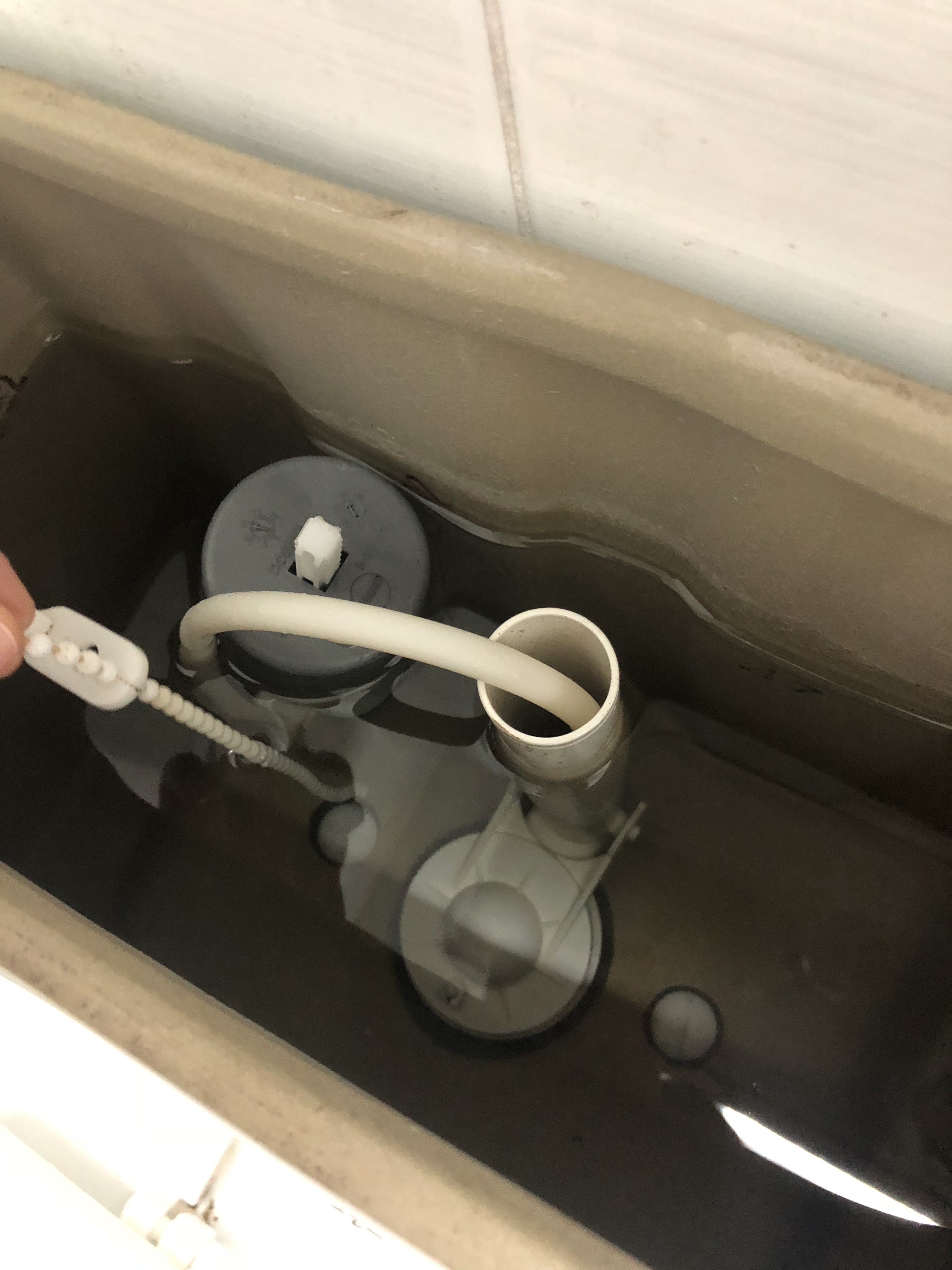 나도 랜첨 5인조 만든다!!!! 마지막 친구가 센터!!! 관심주라 | 인스티즈