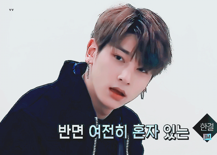 ㄹㅊ 1 고양이 2 강아지 3 다람쥐 | 인스티즈