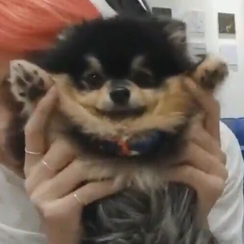 ㄹㅊ 모두가 잠든 큰방에 방탄심기 | 인스티즈