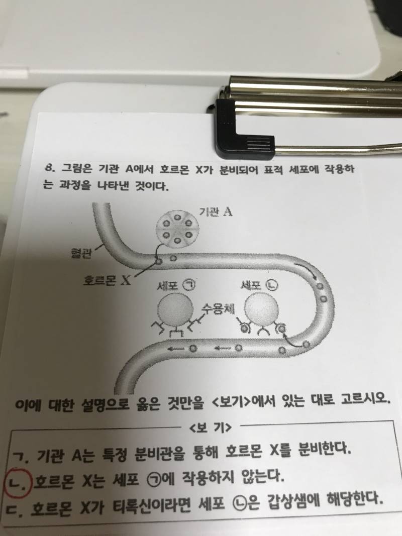 생명과학 계속질문해서 미안한데 이거 뭔지 아는 분 ㅜㅜ | 인스티즈