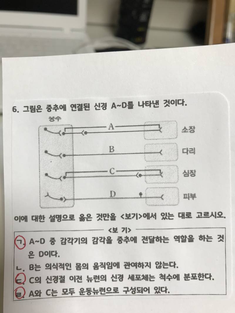 생명과학 계속질문해서 미안한데 이거 뭔지 아는 분 ㅜㅜ | 인스티즈