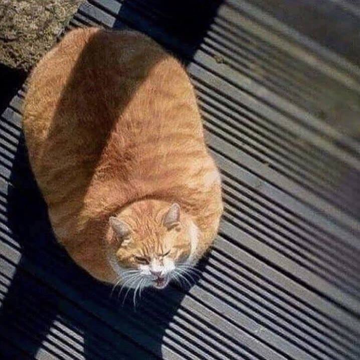 ㄹㅊ 본진 나오면 자러감 | 인스티즈