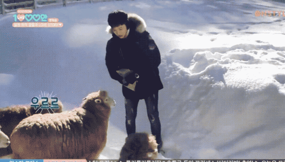 ㄹㅊ 나랑 결혼식 올림 ㅠㅠ 두근 | 인스티즈