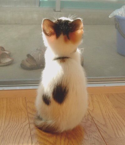 ㄹㅊ 최애 나오면 씻으러 감 | 인스티즈