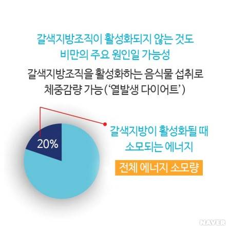 다이어트에 좋은 갈색지방 활성화하기😃 | 인스티즈