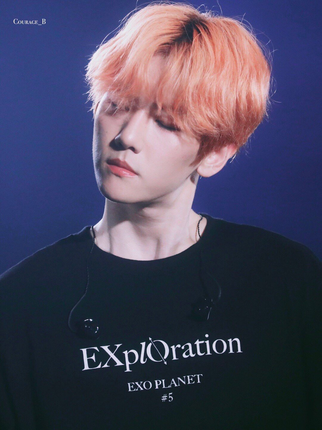 ㄹㅊ 내새끼들 | 인스티즈