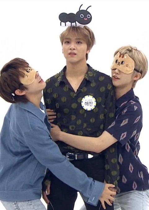 ㄹㅊ 해찬이 나오면 바로 폰 내려놓는다 | 인스티즈