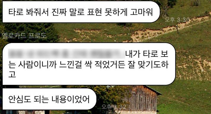 ✔타로보는 사람도 잘맞는다고 칭찬하는 쿼카네로 오세요!✔ | 인스티즈