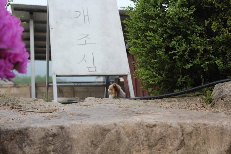 강원도 철원의 유명하다는 어느 막국수집...jpg | 인스티즈